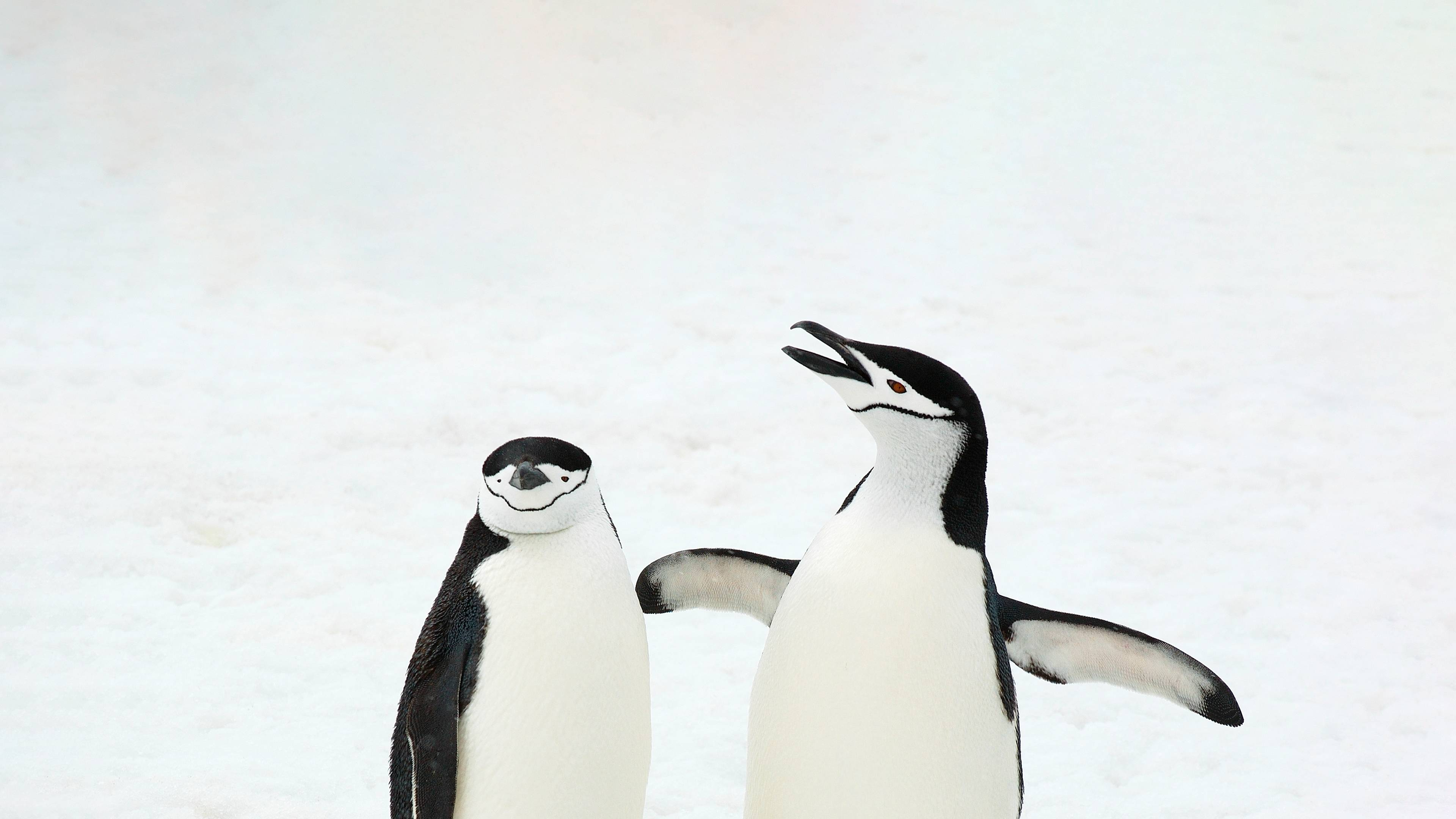 2023-12-23T14:34:10.png